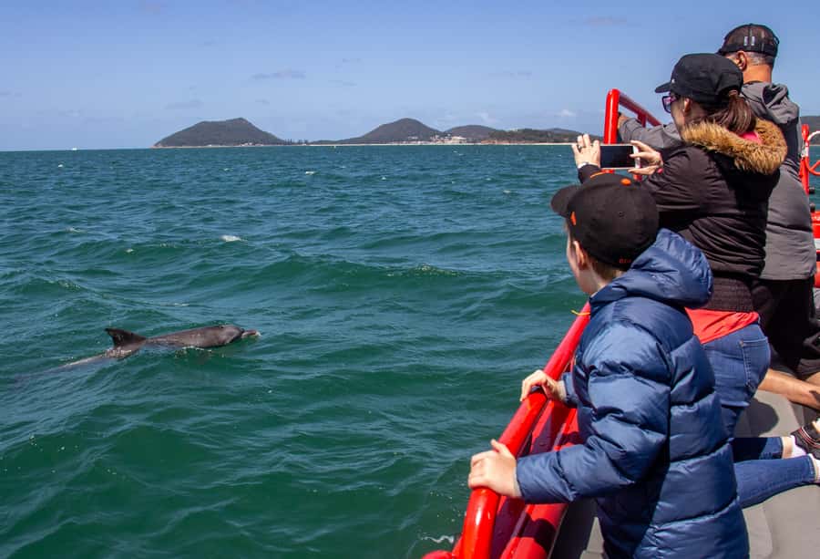 Port Stephens: 1hr Dolphin Watch Express - The crew makes the short trip work