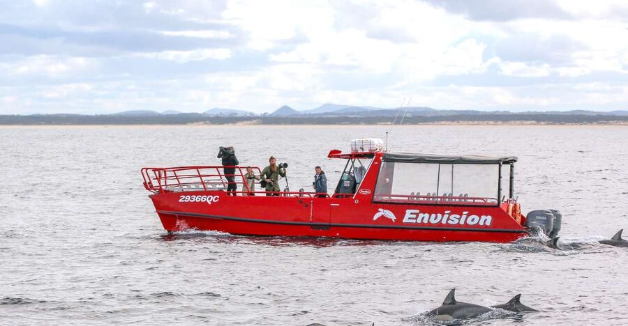 Port Stephens: 1hr Dolphin Watch Express - Why the one-hour length is useful