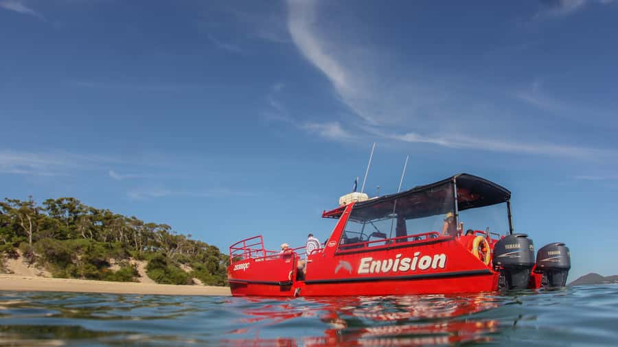 Port Stephens: 1hr Dolphin Watch Express - What Envision feels like on the water