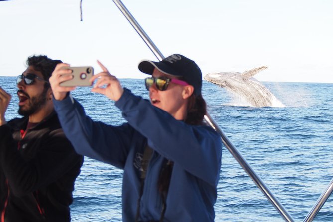 Port Stephens 3 Hour Whale and Dolphin Watch Cruise - The three-hour search for humpback whales