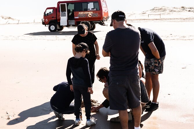 Port Stephens 4WD Beach Sand Dune Adventure - A fast, lively introduction to Stockton Sand Dunes