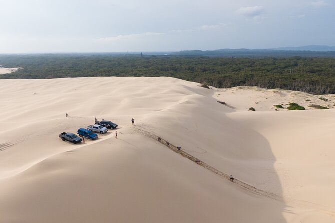 Port Stephens, Beach and Sand Dune 4WD Tag-Along Tour - Key points to know before you book