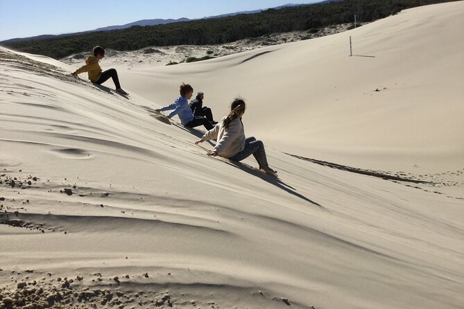 Port Stephens, Beach and Sand Dune 4WD Tag-Along Tour - Taking control of a Port Stephens 4WD