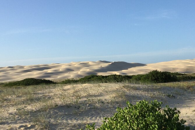 Port Stephens, Beach and Sand Dune 4WD Tag-Along Tour - Who will get the most from this tour