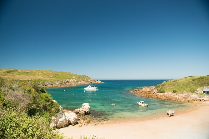 Port Stephens: Broughton Island Cruise - Key points at a glance