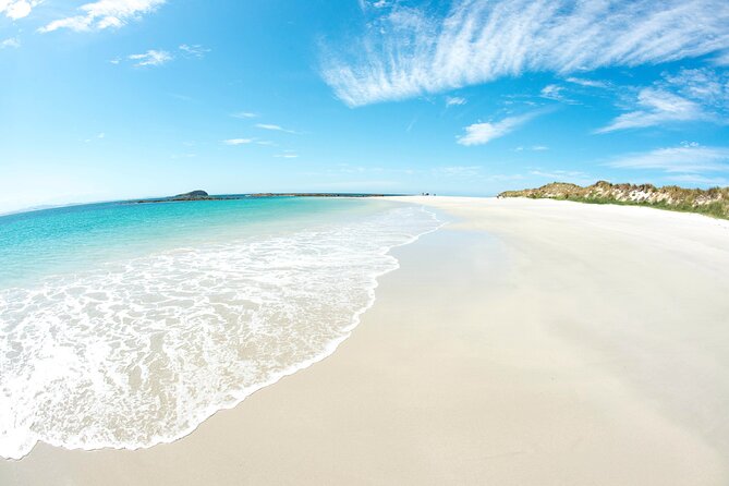 Port Stephens: Broughton Island Cruise - What happens on the return journey
