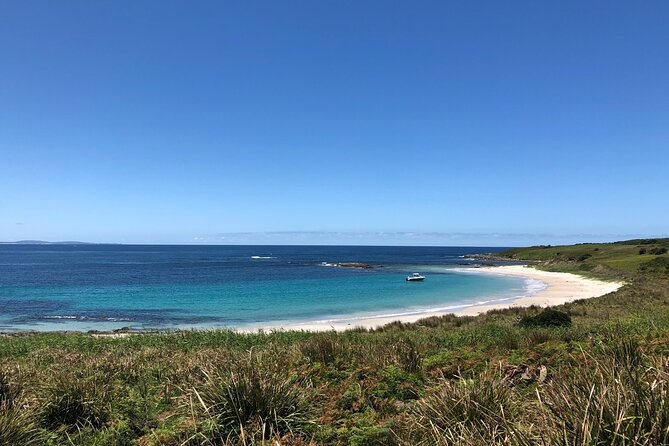 Port Stephens: Broughton Island Cruise - Who will enjoy this island day?