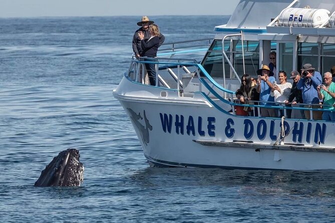 Port Stephens, departing Newcastle - Whales, hike & sand dunes! - Who should book this Port Stephens tour?
