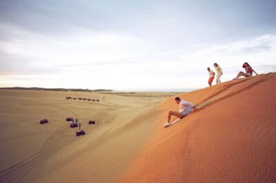 Dolphin Cruise, Lunch, Koalas & Sandboarding