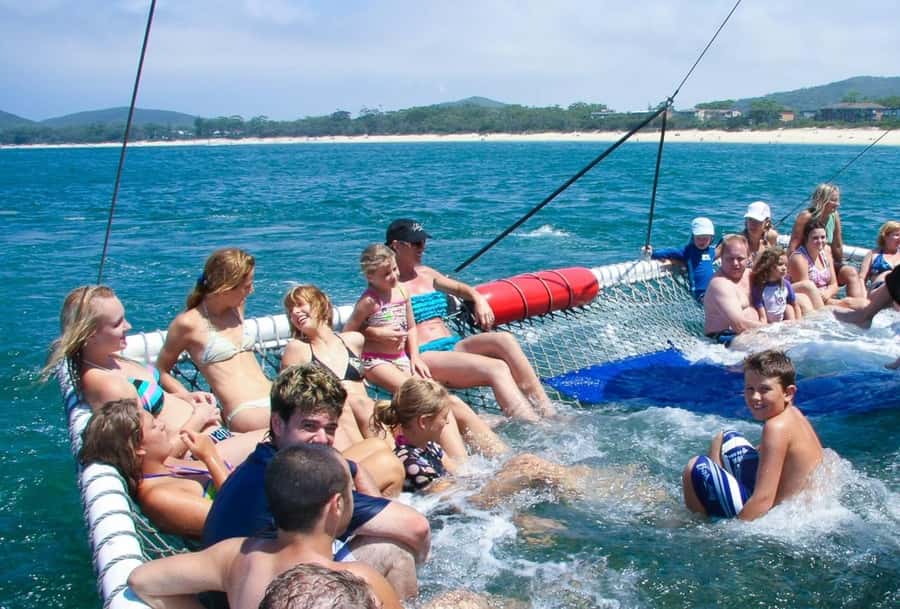 Port Stephens: Dolphin Cruise, Lunch, Koalas & Sandboarding - PS Koala Sanctuary and the treetop SKYwalk