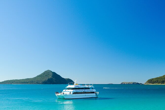 Port Stephens: Dolphin Discovery Cruise - What the 90-minute cruise is like