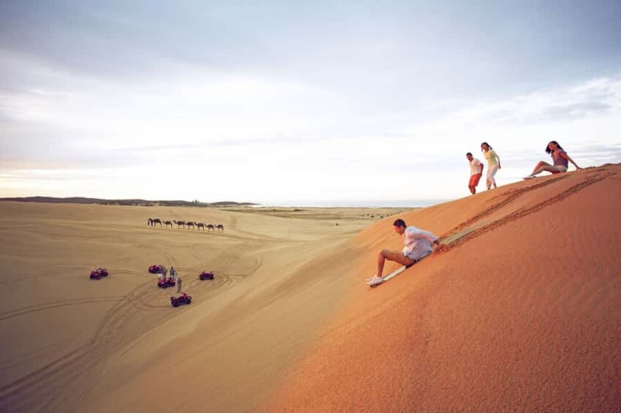 Port Stephens: Dolphin, Lunch, Koalas&Sandboarding -Mandarin - Key points to know before booking