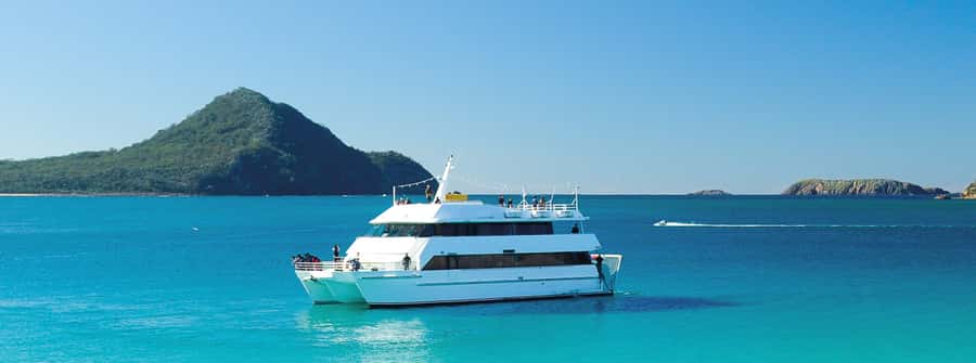 Port Stephens: Dolphin, Lunch, Koalas&Sandboarding -Mandarin - Cruising for dolphins around Nelson Bay