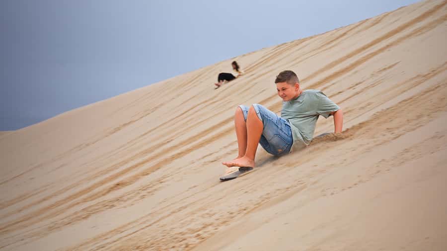 Port Stephens: Dolphin, Lunch, Koalas&Sandboarding -Mandarin - Guide language and the role of Gordon