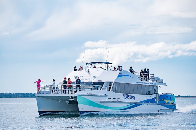 Port Stephens: Dolphin Watch Eco Adventure - Quick points before you book