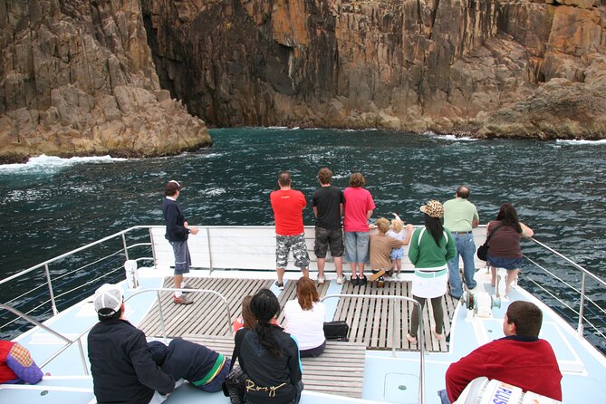 Port Stephens: Dolphin Watch Eco Adventure - Boarding at Nelson Bay’s D’Albora Marina