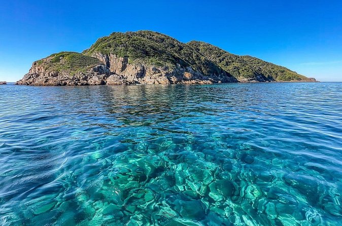 Port Stephens: Dolphin Watch Eco Adventure - Why the commentary matters