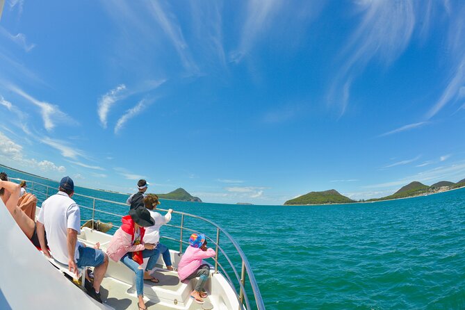 Port Stephens: Dolphin Watch Eco Adventure - The best parts for families and older visitors