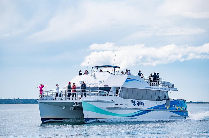 Port Stephens: Dolphin Watch Eco Adventure - What you get for $32.28