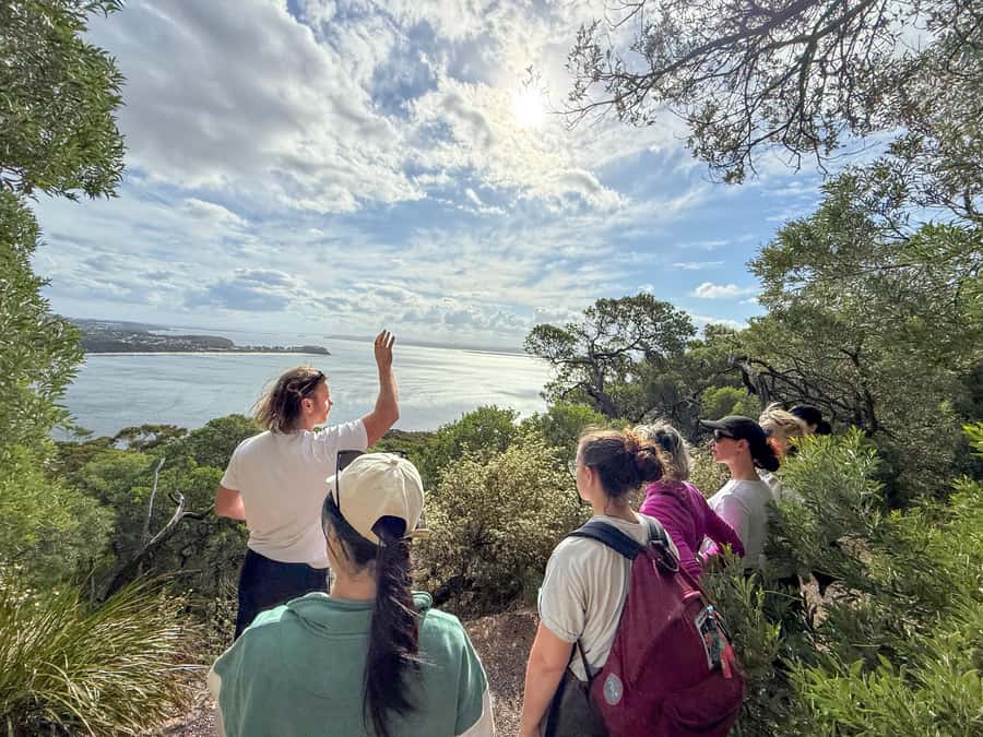 Port Stephens, from Newcastle: Whales, hike & sand dunes! - Key points at a glance