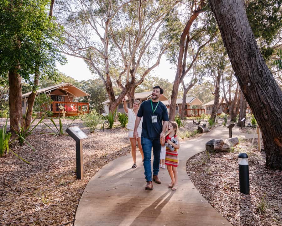 Port Stephens: Koala Sanctuary General Admission Ticket - Seeing koalas in a natural setting