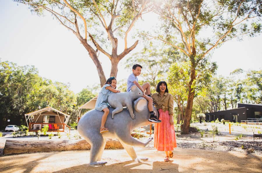 Port Stephens: Koala Sanctuary General Admission Ticket - Planning your time and walking route