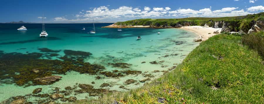 Port Stephens: Port Stephens Island Snorkel Adventure Cruise - How Sophie, Matt, and Silke shape the morning