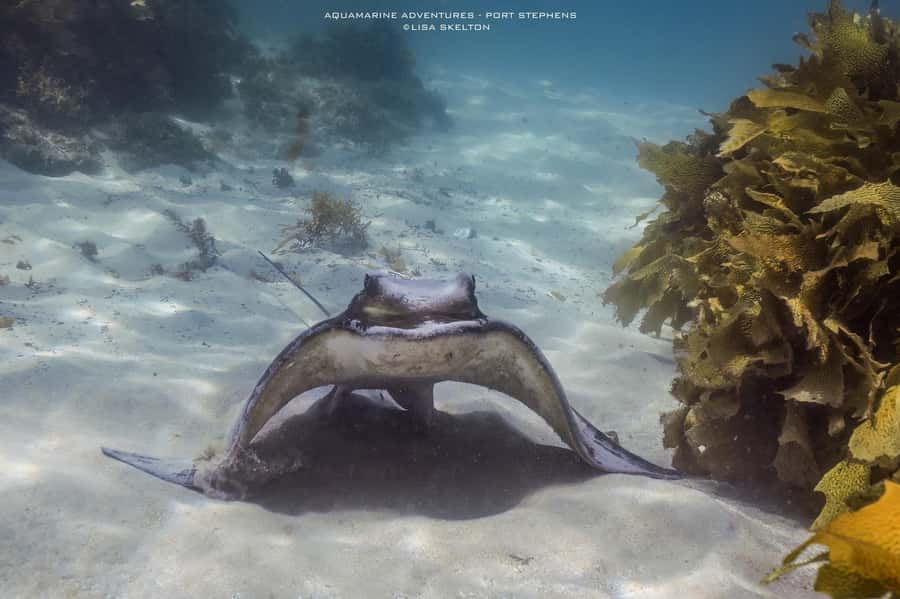 Port Stephens: Port Stephens Island Snorkel Adventure Cruise - Why the three-hour length works