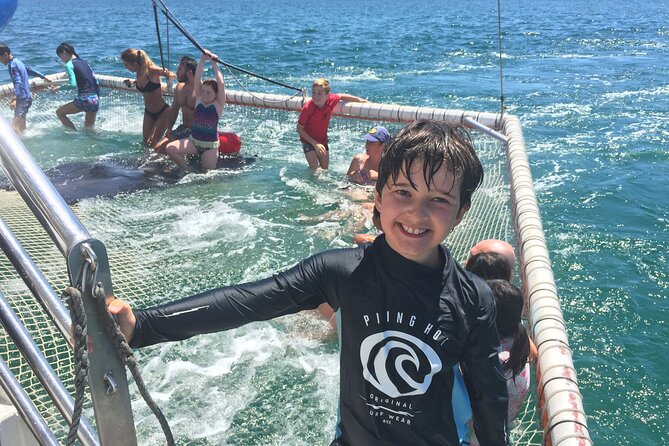 Port Stephens Private Tour From Sydney, with Dolphin/ Whale Cruise Options - Lunch at Nelson Bay Bowling and Recreation Club