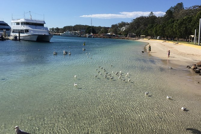 Port Stephens Private Tour From Sydney, with Dolphin/ Whale Cruise Options - What the $340.69 price really covers