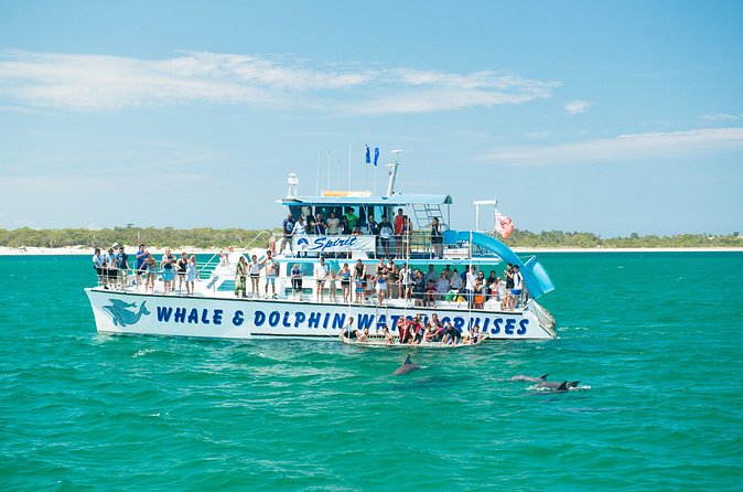 Port Stephens: Splash 'n' Slide Dolphin Cruise - What to bring for the slide and boom net