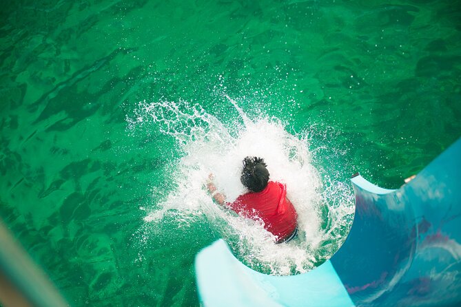 Port Stephens: Splash 'n' Slide Dolphin Cruise - Is $35.86 good value?