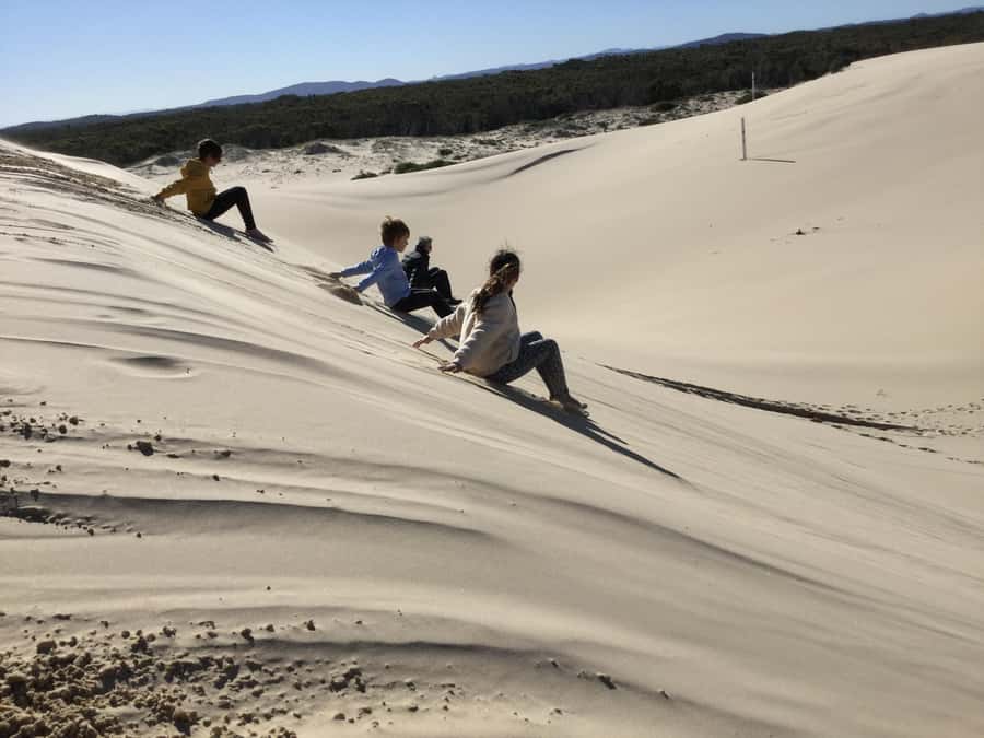 Port Stephens: Stockton Sand Dunes 4WD Tag-Along Tour - Timing, Cancellation, and Practical Planning