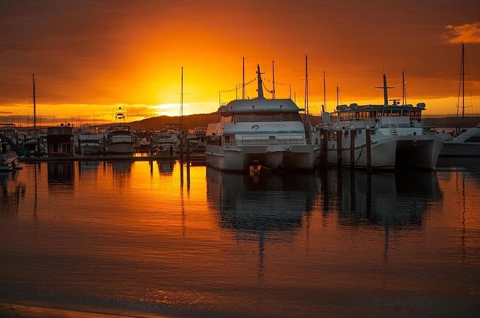 Port Stephens: Sunset on the Bay Cruise - What the $32.28 fare really buys you