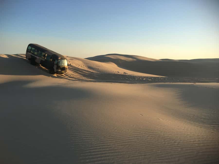 Port Stephens: Unlimited Sandboarding with 4WD Dune Transfer - The ten-minute 4WD ride across the dunes