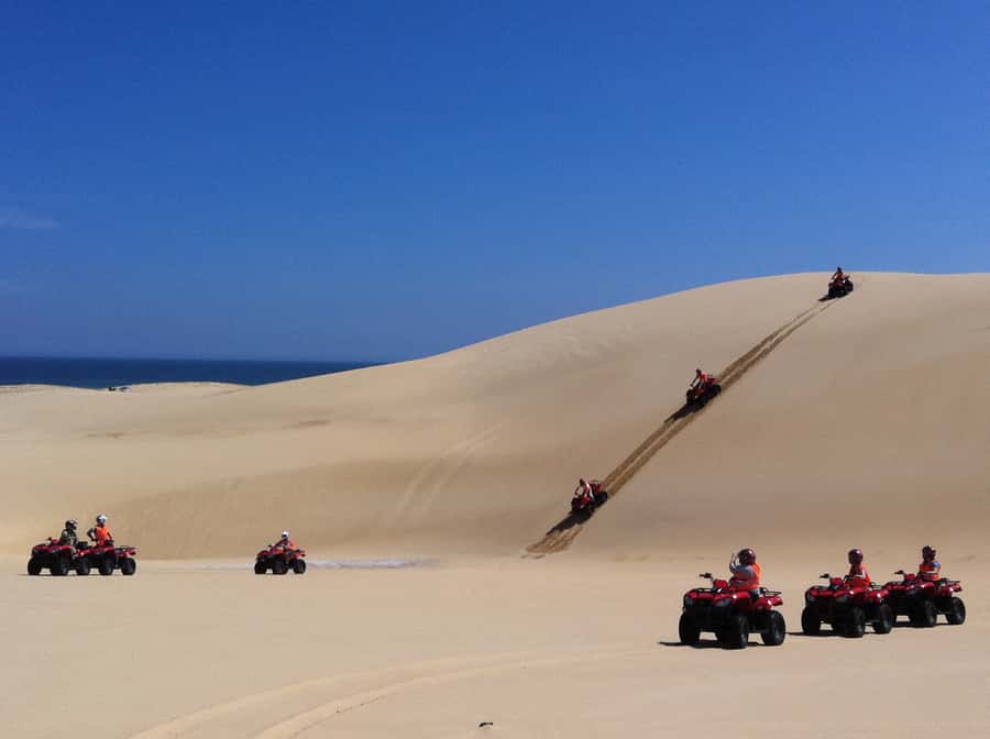 Port Stephens: Worimi Sand Dune Quad Bike Adventure - Key points to know before booking