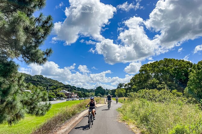 Premium E Bike Hire at the Northern Rivers Rail Trail - The Tweed Regional Gallery and Margaret Olley Art Centre