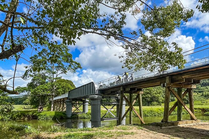 Premium E Bike Hire at the Northern Rivers Rail Trail - Equipment for families, dogs, and mixed abilities