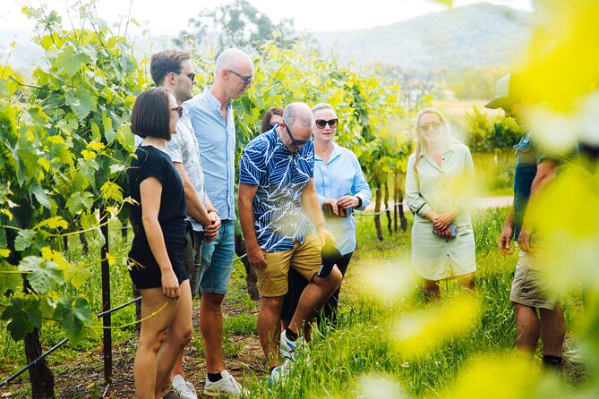 Premium Hunter Valley Wine Tour with Lunch from Sydney - Gin, vodka, and the colorful spirits stop
