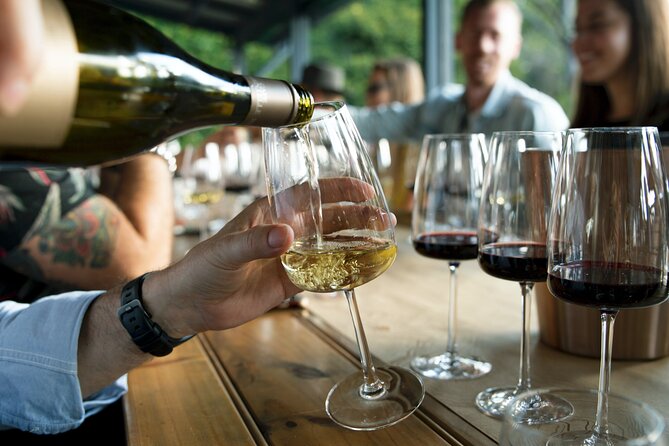 Premium Hunter Valley Wine Tour with Lunch from Sydney - Who will enjoy this Hunter Valley day?