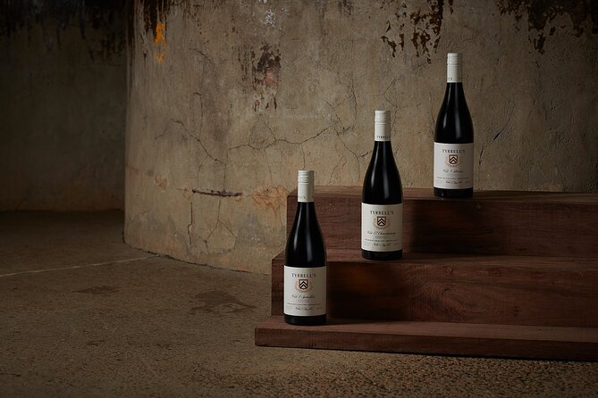 Premium Wine Tasting Experience in Pokolbin - How the private format affects the visit