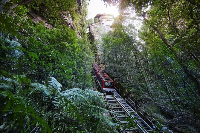 Private All Blue Mountains Day Tour - Why a private Blue Mountains day can work so well