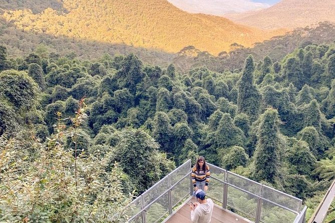 Private All Blue Mountains Day Tour - Cahill’s Lookout and the canyon views