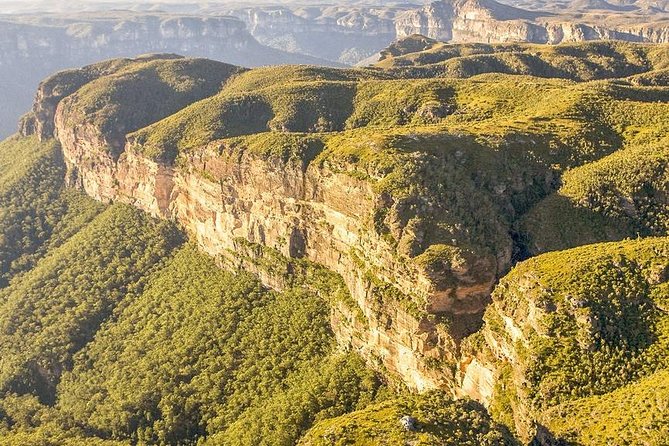 Private All Blue Mountains Day Tour - An hour among the Blue Mountains lookouts