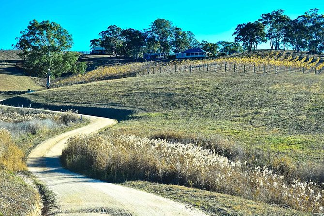 Private Blue Mountains and Winery Day-Trip from Sydney - Megalong Valley, lunch, and a quieter side of the mountains