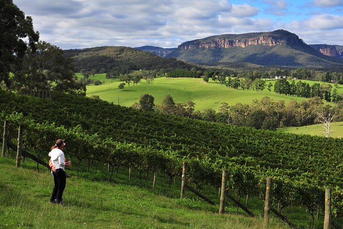 Private Blue Mountains and Winery Day-Trip from Sydney - How much value do you get for $1,595?