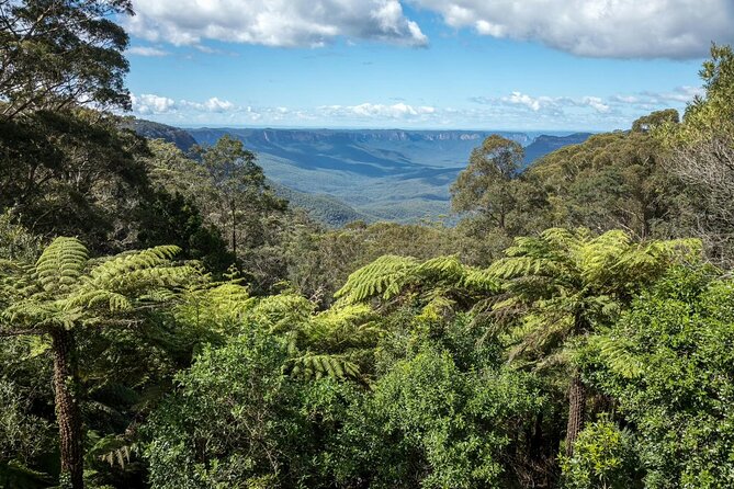 Private Blue Mountains Day Tour (avoid the crowds) - The Megalong Valley and other custom choices