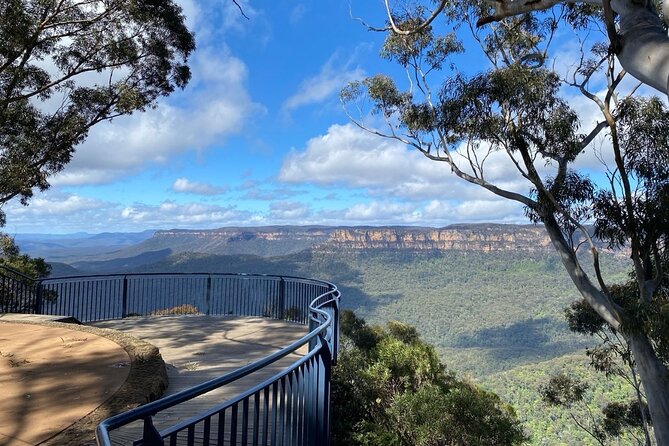 Private Blue Mountains Day Tour (avoid the crowds) - Vehicle comfort and the private guide question
