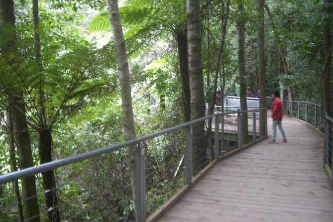 PRIVATE Blue Mountains day tour with local guide. - Featherdale Wildlife Park: a strong opening stop
