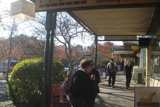 PRIVATE Blue Mountains day tour with local guide. - Scenic World: pay extra for the mountain rides